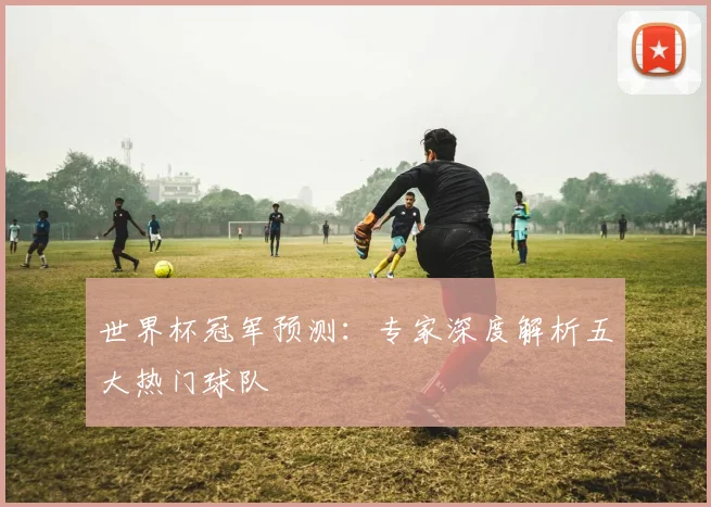 世界杯冠军预测：专家深度解析五大热门球队