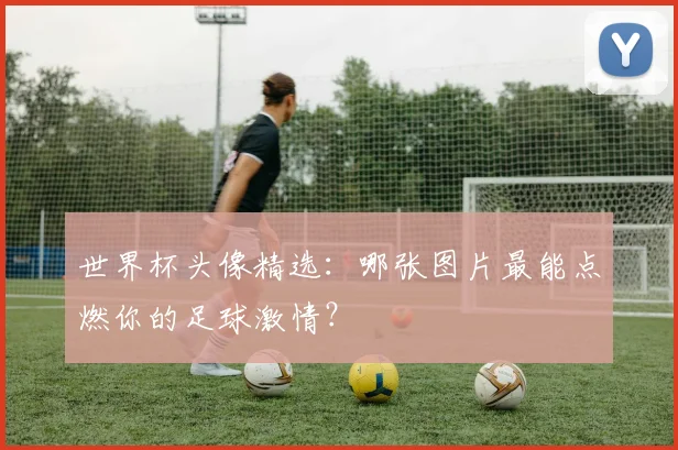 世界杯头像精选：哪张图片最能点燃你的足球激情？