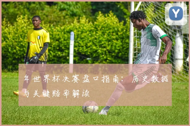年世界杯决赛盘口指南：历史数据与关键赔率解读