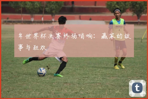 年世界杯决赛终场哨响：赢家的故事与狂欢