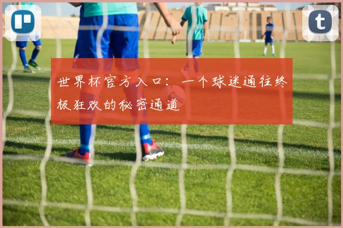 世界杯官方入口:一个球迷通往终极狂欢的秘密通道