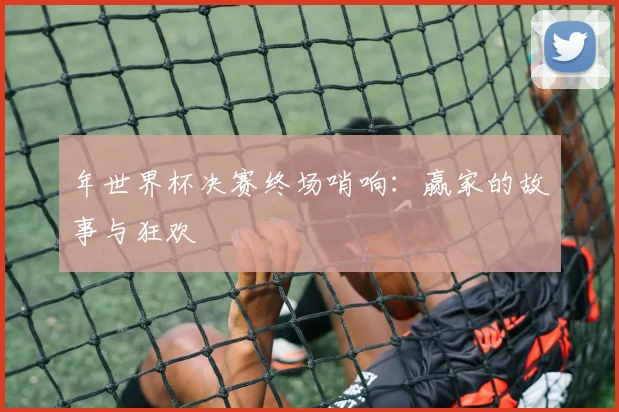年世界杯决赛终场哨响：赢家的故事与狂欢