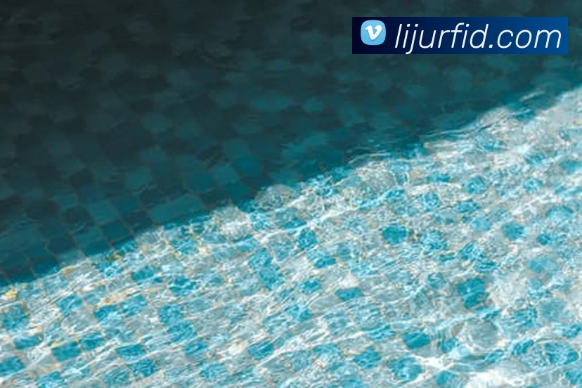 App Interface Preview