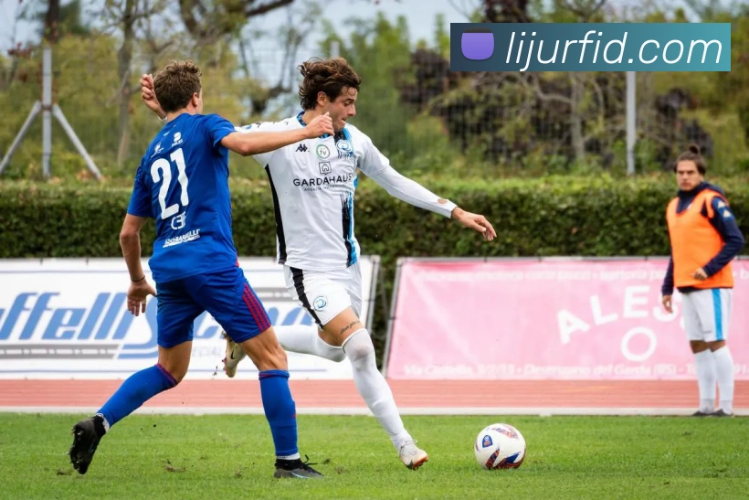 开云手机在线登录界面APP 封面图